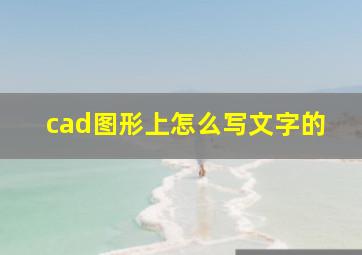 cad图形上怎么写文字的