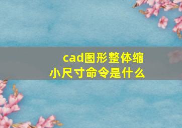 cad图形整体缩小尺寸命令是什么