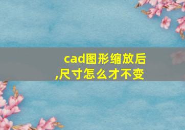 cad图形缩放后,尺寸怎么才不变