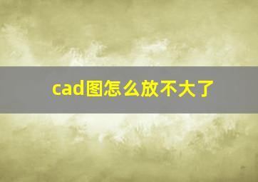 cad图怎么放不大了