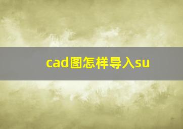 cad图怎样导入su