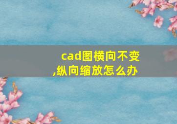 cad图横向不变,纵向缩放怎么办