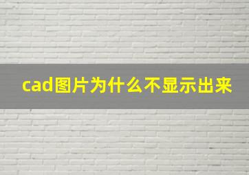 cad图片为什么不显示出来