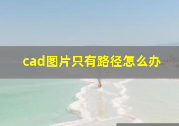 cad图片只有路径怎么办