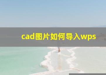 cad图片如何导入wps