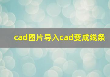 cad图片导入cad变成线条