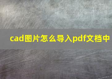 cad图片怎么导入pdf文档中