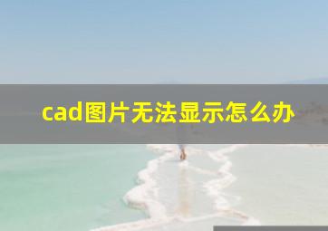 cad图片无法显示怎么办