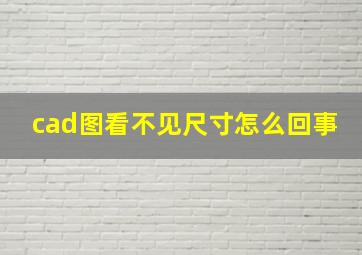 cad图看不见尺寸怎么回事