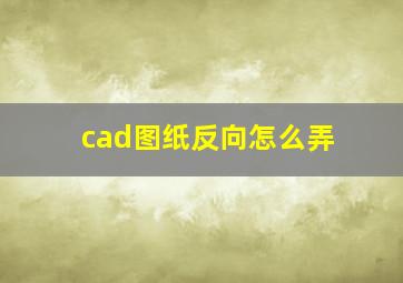 cad图纸反向怎么弄