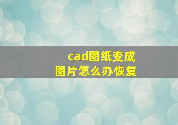 cad图纸变成图片怎么办恢复