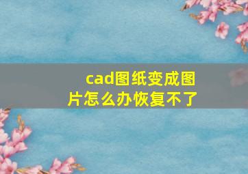 cad图纸变成图片怎么办恢复不了