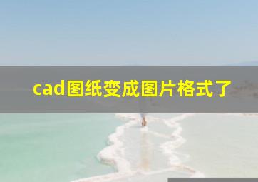 cad图纸变成图片格式了