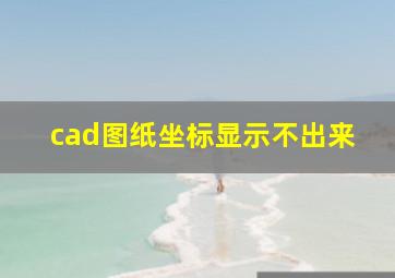 cad图纸坐标显示不出来