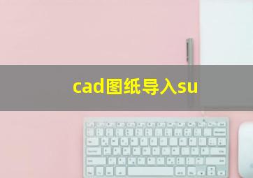 cad图纸导入su