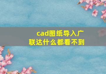 cad图纸导入广联达什么都看不到