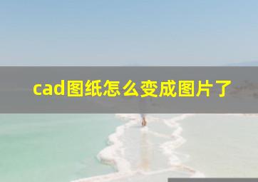 cad图纸怎么变成图片了