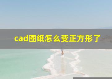 cad图纸怎么变正方形了