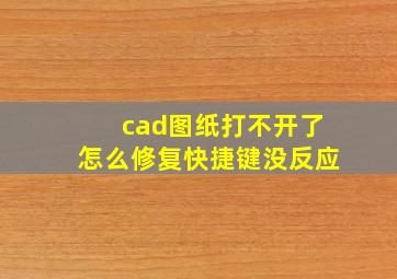 cad图纸打不开了怎么修复快捷键没反应