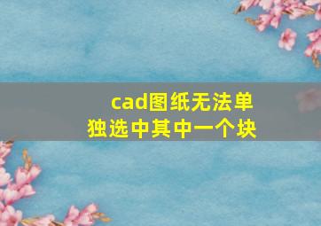 cad图纸无法单独选中其中一个块