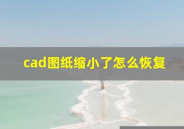 cad图纸缩小了怎么恢复