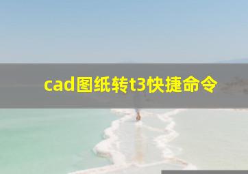 cad图纸转t3快捷命令