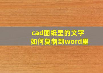 cad图纸里的文字如何复制到word里