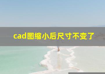 cad图缩小后尺寸不变了