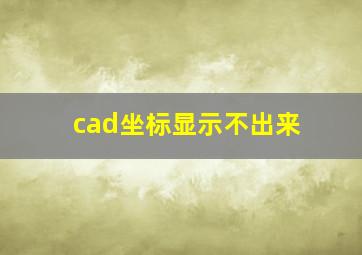 cad坐标显示不出来