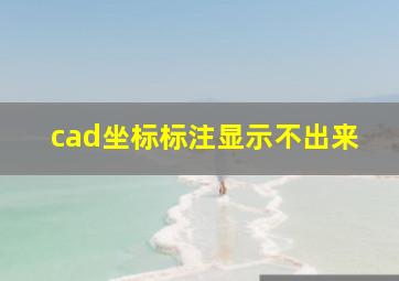 cad坐标标注显示不出来