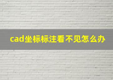 cad坐标标注看不见怎么办