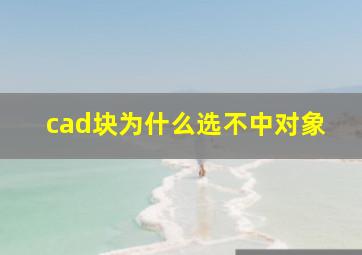 cad块为什么选不中对象