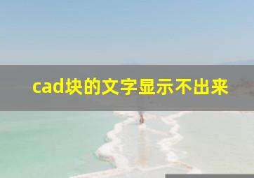 cad块的文字显示不出来