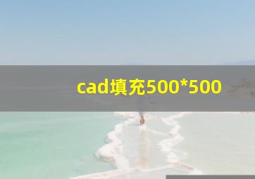 cad填充500*500