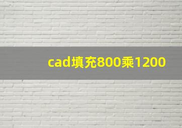 cad填充800乘1200