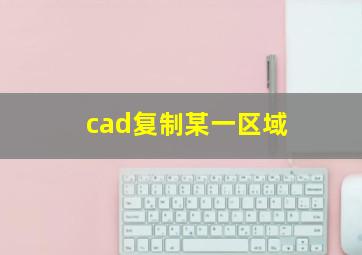 cad复制某一区域