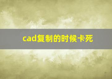 cad复制的时候卡死