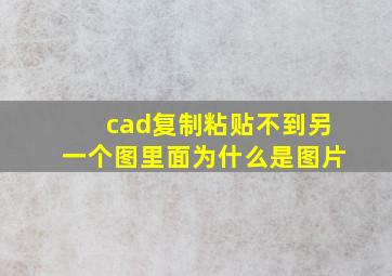 cad复制粘贴不到另一个图里面为什么是图片