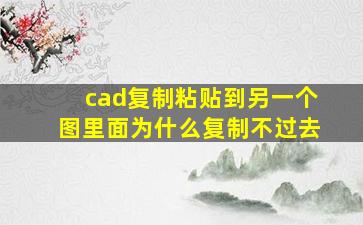 cad复制粘贴到另一个图里面为什么复制不过去