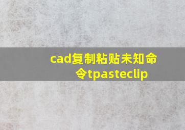 cad复制粘贴未知命令tpasteclip