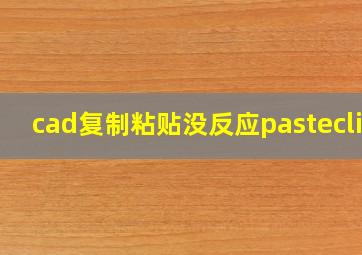 cad复制粘贴没反应pasteclip