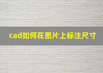 cad如何在图片上标注尺寸