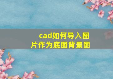 cad如何导入图片作为底图背景图