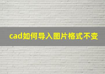 cad如何导入图片格式不变