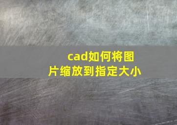 cad如何将图片缩放到指定大小