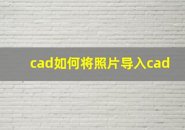 cad如何将照片导入cad