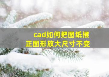 cad如何把图纸摆正图形放大尺寸不变