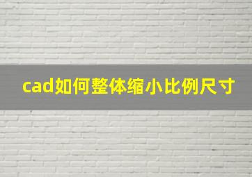 cad如何整体缩小比例尺寸