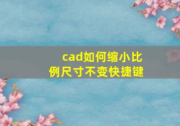 cad如何缩小比例尺寸不变快捷键