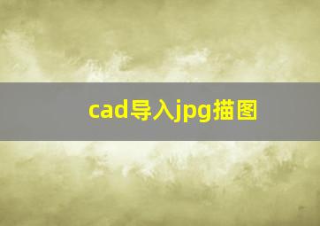 cad导入jpg描图